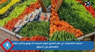 أسعار الخضروات في كفر الشيخ اليوم الأربعاء 23 يوليو وتأثير ارتفاع الطماطم على السوق